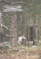 Delcampe - Finland Lapiosalmi Welcome Sign Reindeer Forest Landscape Unposted #SDS217 - Werbepostkarten