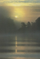 Delcampe - Finland Pro Natura Misty Sunset Over Water Forest Silhouette Unposted #SDS168 - Werbepostkarten