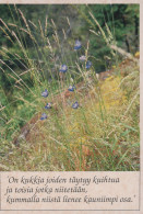 Delcampe - Finland Blue Wildflowers Field Grass Philosophical Quote Unposted #SDS157 - Blumen
