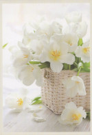 Delcampe - Finland Kuurojen Liitto Ry Advertising White Tulips Basket Unposted #SDS148 - Blumen