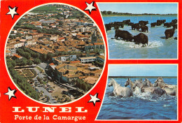 Delcampe - 34-LUNEL-N°TB3595-A/0055 - Lunel