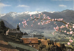 Delcampe - 31-LUCHON-N°TB3596-B/0343 - Luchon