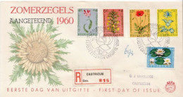 Delcampe - Postal History Cover: Netherlands Used FDC - Autres & Non Classés