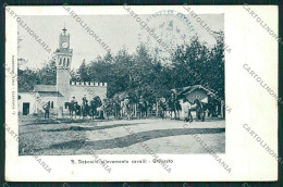Delcampe - Grosseto Città Militari Cartolina QQ3460 - Grosseto