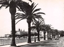 Delcampe - 83-SAINT RAPHAEL-N°TB3602-B/0389 - Saint-Raphaël