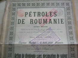 Delcampe - Ancienne Action 1906 PETROLES DE ROUMANIE - Altri & Non Classificati
