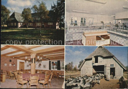 Delcampe - Schneverdingen Pension Gasthof Schaeferhof Gastraum Theke Schafstall - Schneverdingen
