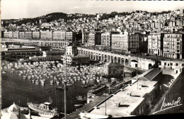 Delcampe - CPA Alger Vue Generale - Algeri
