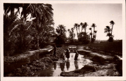 Delcampe - CPA Scenes Et Types Dans L'Oasis - Scènes & Types