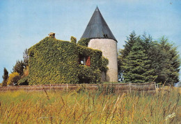 Delcampe - MESCHERS Le Vieux Moulin 29(scan Recto-verso) MA1835 - Meschers