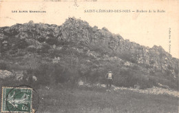 Delcampe - 72-SAINT LEONARD DES BOIS-ROCHERS DE LA ROCHE-N°668-F/0243 - Saint Leonard Des Bois
