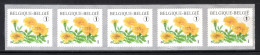 Delcampe - R116 MNH 2008 - Bloemen Tagetes Patula 5 Stuks Met Nummer - 2 - Rouleaux