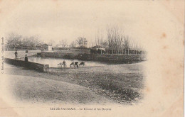 Delcampe - JA 24-(79) SAUZE VAUSSAIS - LE RIVAUD ET LES DOUVES - BETAIL S' ABREUVANT  - 2 SCANS - Sauze Vaussais
