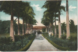 Delcampe - Z++12- (CUBA) A SUGAR PLANTATION ENTRANCE - ENTREE D' UNE PLANTATION SUCRIERE - 2 SCANS - Kuba