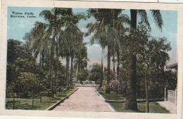 Delcampe - Z++12- (CUBA) COLON PARK , HAVANA , CUBA - 2 SCANS - Kuba