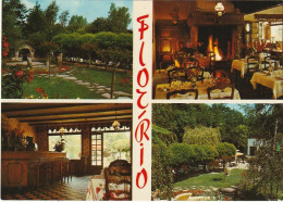 Delcampe - Z++8-(79) NIORT - AUBERGE " FLOR RIO " - CARTE MULTIVUES COULEURS : SALLE DE REPAS , BAR , JARDIN - 2 SCANS - Niort