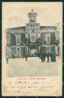 Delcampe - Foggia San Severo Piazza Municipio Cartolina VK3560 - Foggia