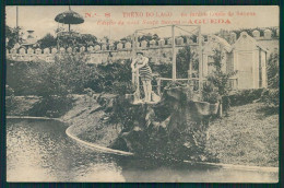 Delcampe - AGUEDA  - Trecho Do Lago No Jardim  Conde De Sucena ( Edição Da Casa Souza Sucena Nº 8)  Carte Postale - Aveiro