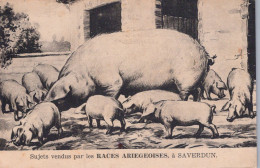 Delcampe - CARTE PUBLICITAIRE / COCHONS - SUJETS VENDUS PAR LES RACES ARIEGEOISES MAI 1930 / A SAVERDUN / VOIR VERSO - Werbepostkarten