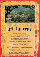 Delcampe - 84 MALAUCENE MONT VENTOUX - Malaucene