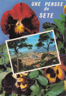 Delcampe - 34 SETE VUE SUR LA VILLE ET LA MER - Sete (Cette)