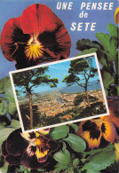 Delcampe - 34 SETE VUE SUR LE PORT - Sete (Cette)