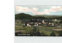 Delcampe - Stamsried Panorama - Sonstige & Ohne Zuordnung