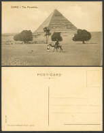 Delcampe - Egypt Old Postcard Cairo The Pyramids Camel Rider Palm Trees Desert & Sand Dunes - Sonstige & Ohne Zuordnung