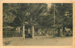 Delcampe - 83 - TAMARIS SUR MER  - La Civette Tamarisienne - Etablissement VIAL - Tamaris