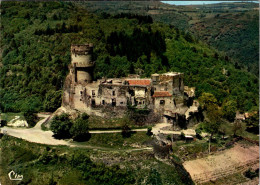 Delcampe - Cpsm  -  Volvic - Vue Aérienne , Le Château        H1257 - Volvic