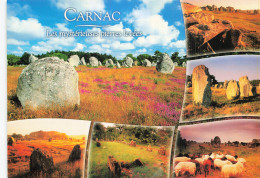 Delcampe - 56 CARNAC - Carnac