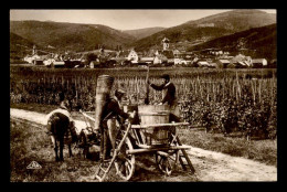 Delcampe - 68 - RIQUEWIHR - LES VENDANGES - Riquewihr