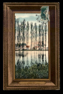 Delcampe - 91 - JUVISY-SUR-ORGE - LE MIROIR DU PARC - Juvisy-sur-Orge