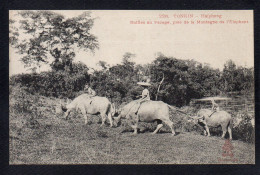 Delcampe - VIET NAM - TONKIN - COCHINCHINE - INDOCHINE - HAIPHONG - Buffles Au Pacage, Près De La Montagne De L'Eléphant - Vietnam