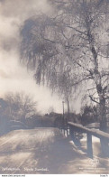 Delcampe - 4800125JÃ¤rnvÃ¤gsbron, NynÃ¤s Havsbad. (fotokort) - Schweden