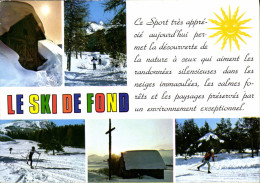 Delcampe - CPM Le Ski De Fond - Alpinisme