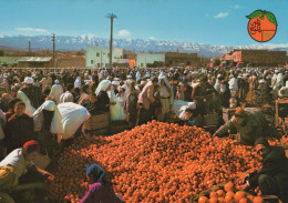 Delcampe - Morocco Morocco High Atlas Mountains Vibrant Outdoor Orange Unposted #PAB679 - Agadir