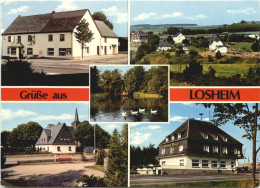 Delcampe - Gruss Aus Losheim - Kreis Merzig-Wadern