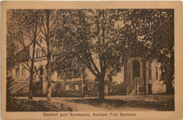 Delcampe - Burg Spreewald - Gasthof Zum Spreewald - Burg (Spreewald)