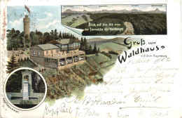 Delcampe - Gruß Vom Waldhaus Auf Dem Hasenberg - Litho - Esslingen