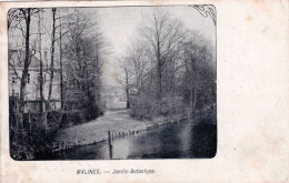Delcampe - MALINES - MECHELEN - Le Jardin Botanique - Openbaar Park - Mechelen