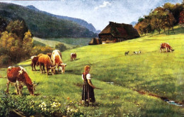 Delcampe - Agriculture - Landwirtschaft - Beidende Herde - Viehzucht