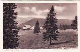 Delcampe - Bade-Wurtemberg - FELDBERG - Schwarzwald - Todtnauerhutte - Feldberg