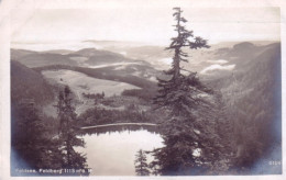 Delcampe - Bade-Wurtemberg - FELDBERG -  Feldsee - Feldberg