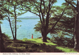Delcampe - IRLANDE MUCKROSS PARK KILLARNEY - Sonstige & Ohne Zuordnung