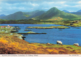 Delcampe - IRLANDE LETTERFRACK BALLYNAKILL HARBOUR - Sonstige & Ohne Zuordnung