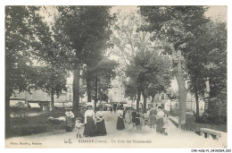 Delcampe - CAR-ACQP1-0012-42 - ROANNE - Un Coin Des Promenades - Roanne