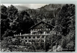 Delcampe - 3855 Brienz BE - Lindenhof - 13137941 - Brienz