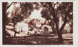 Delcampe - CPA AJACCIO - CORSE - SOUS LES OLIVIERS - Ajaccio