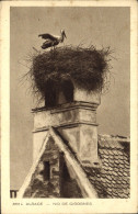 Delcampe - CPA Alsace Nid De Cigognes - Alsace